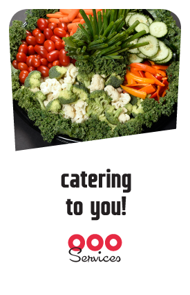 HomePage Catering module 250x400